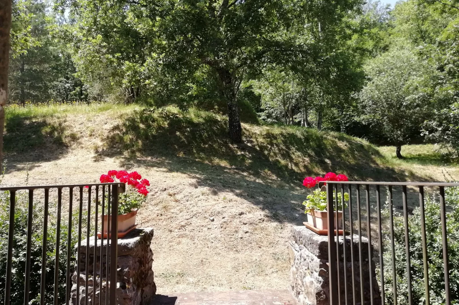 Vignoli-Gardens summer