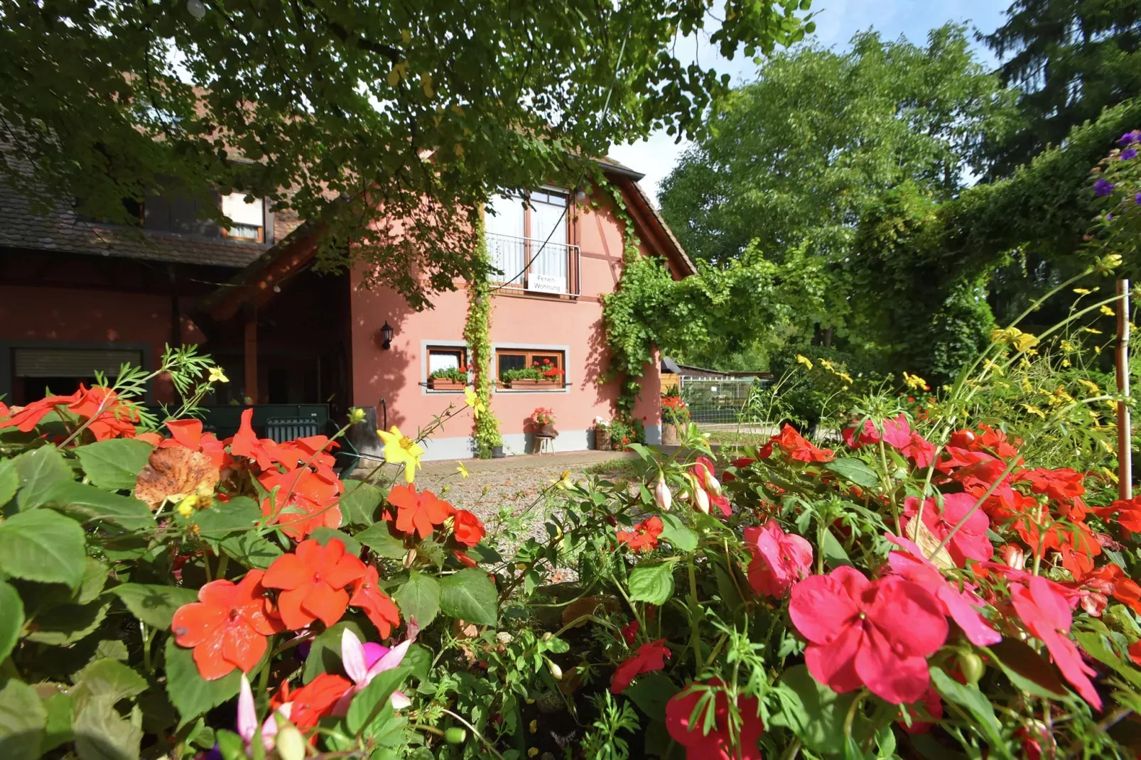 Im Rheintal-Exterior summer