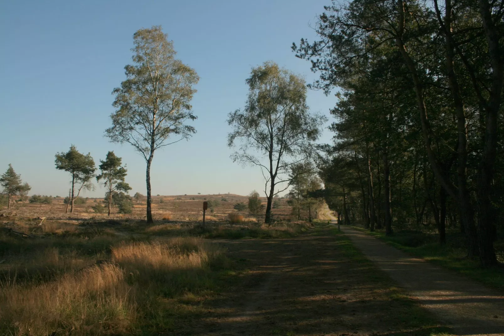 Villa Luttenberg-Areas summer 1km