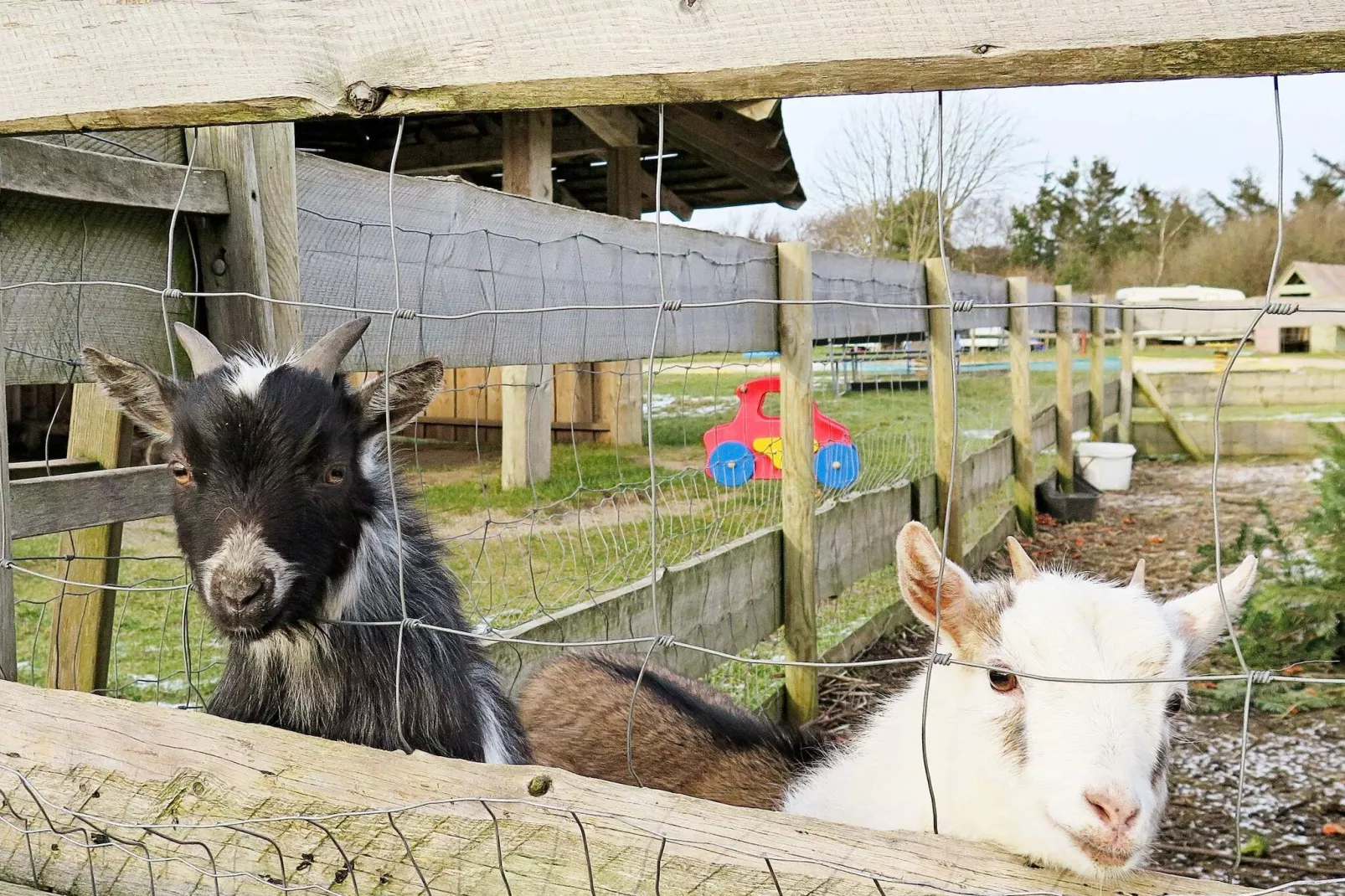 6 Personen Ferienhaus in Struer-By Traum-Aussicht