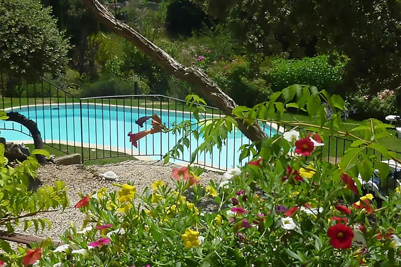 Crillon le Brave-Pool