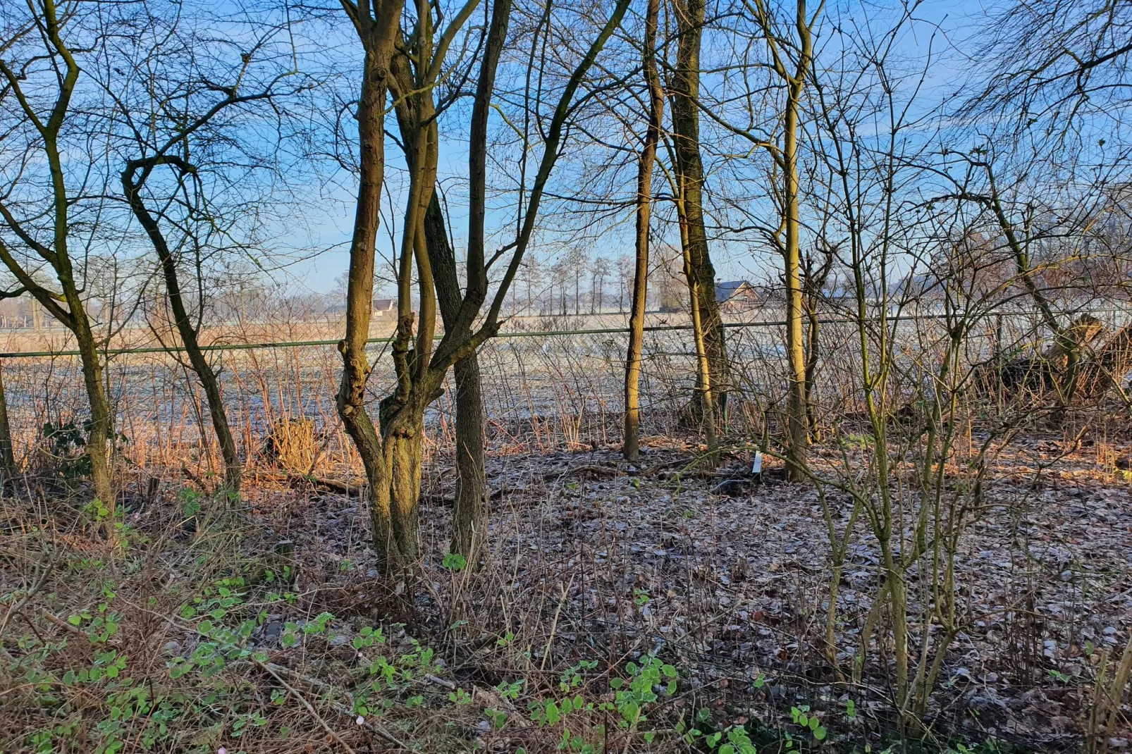 Zonnenberg 34-Areas summer 1km