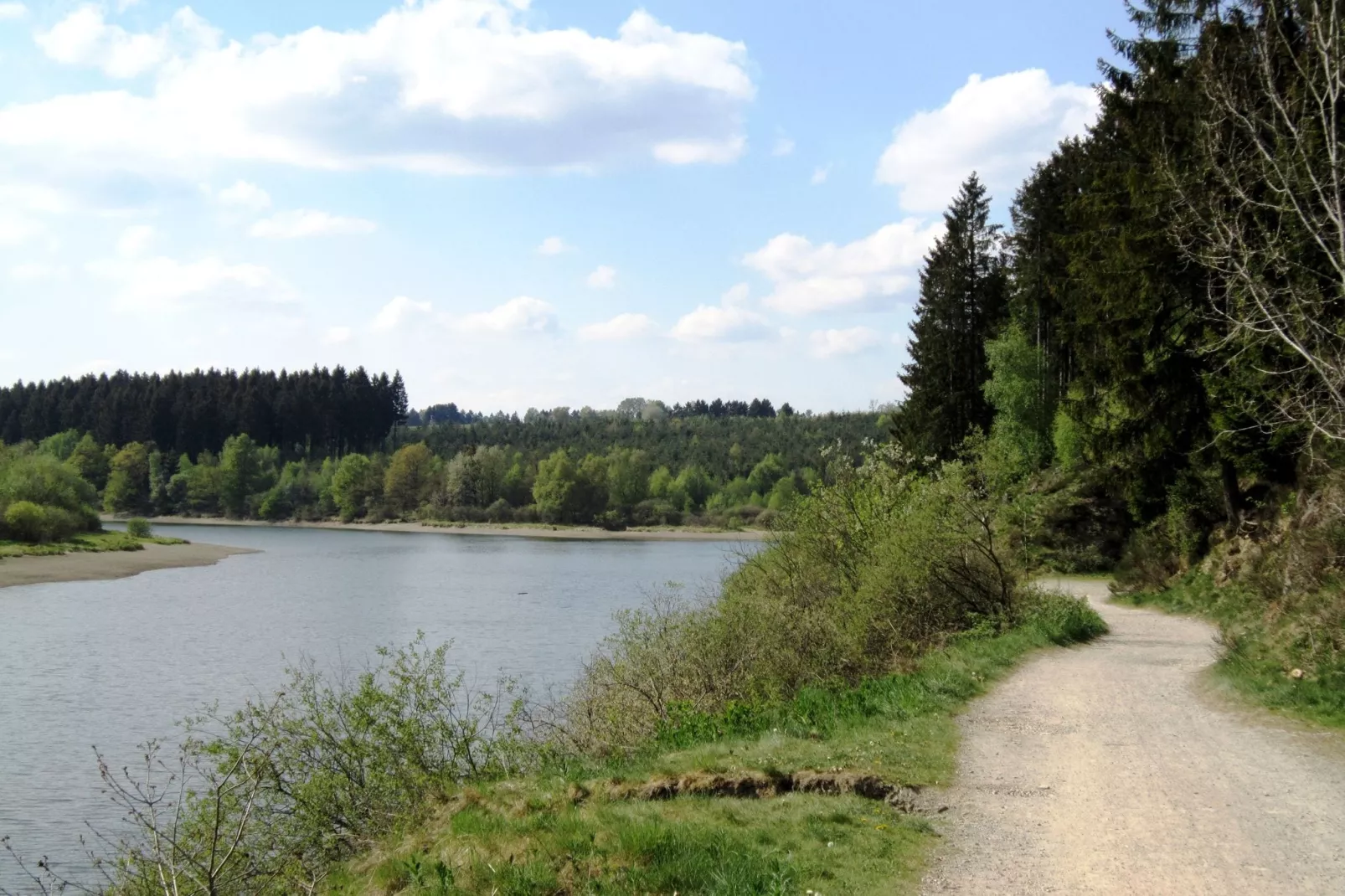 Au bout de l'Ardenne-Areas summer 5km