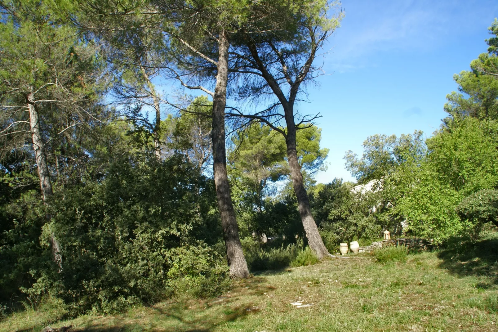 Crillon le Brave-Gardens summer