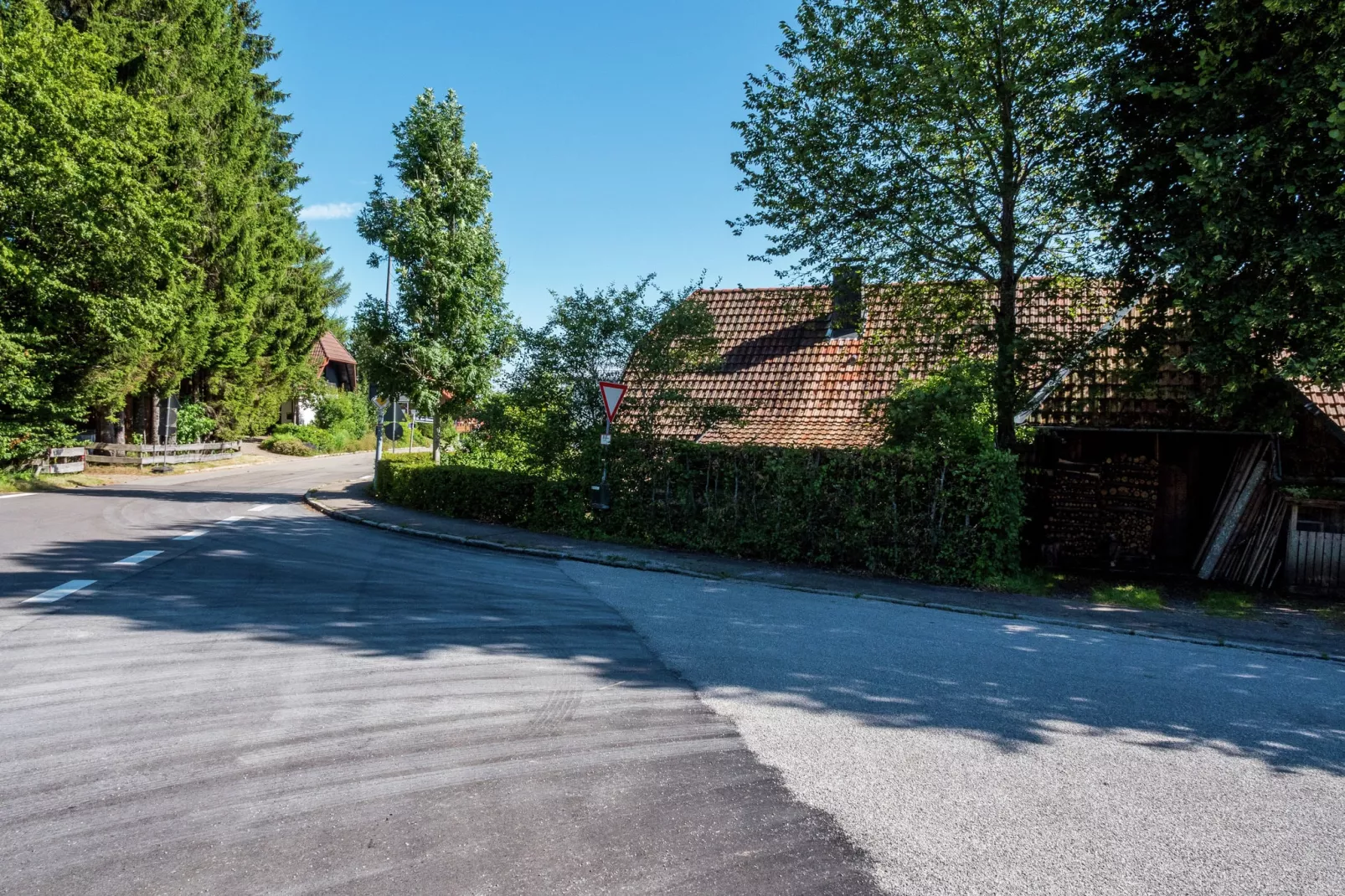 Schwarzwald-Gebiete Sommer 1 km