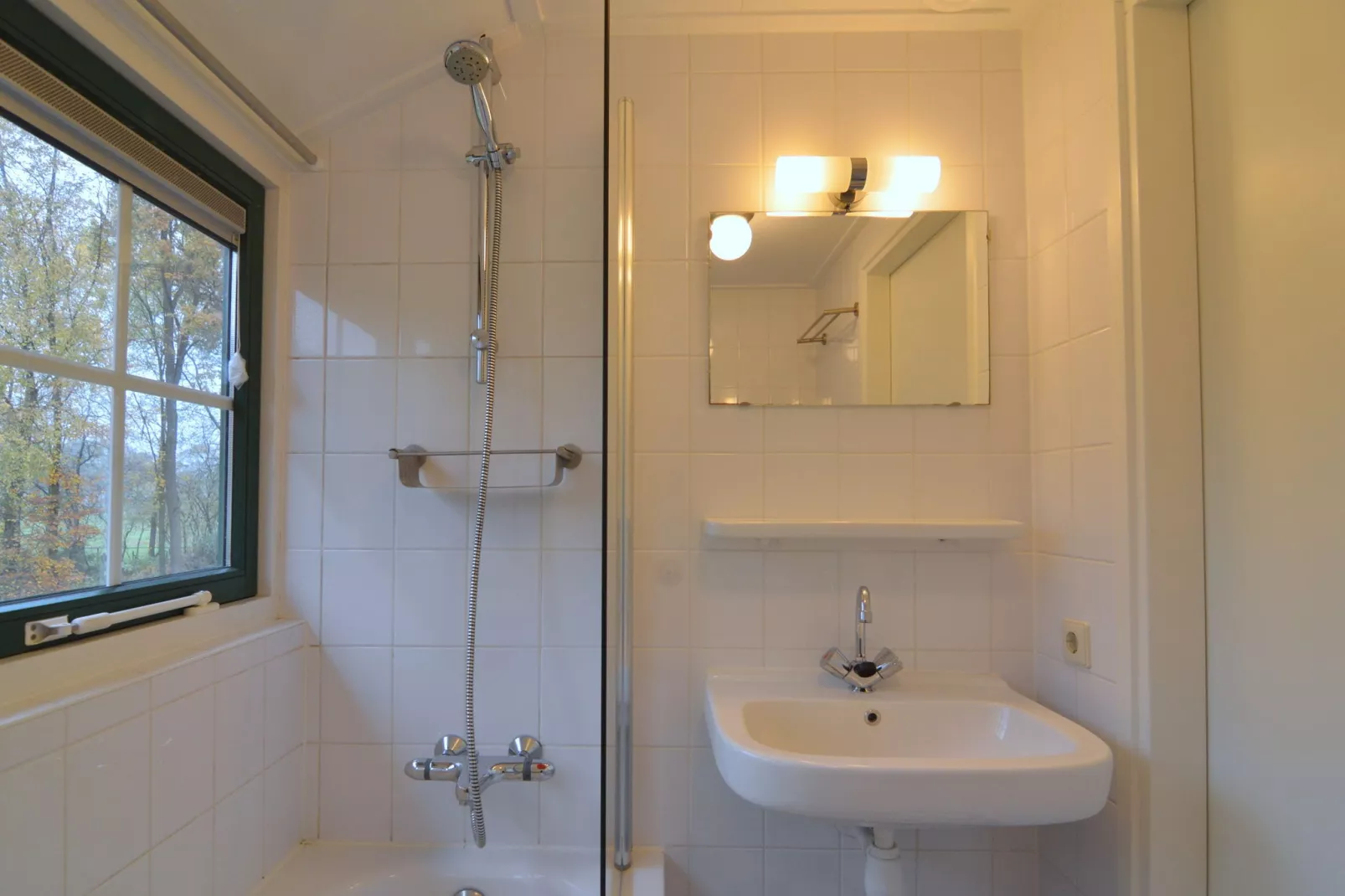 Wildeman-Bathroom