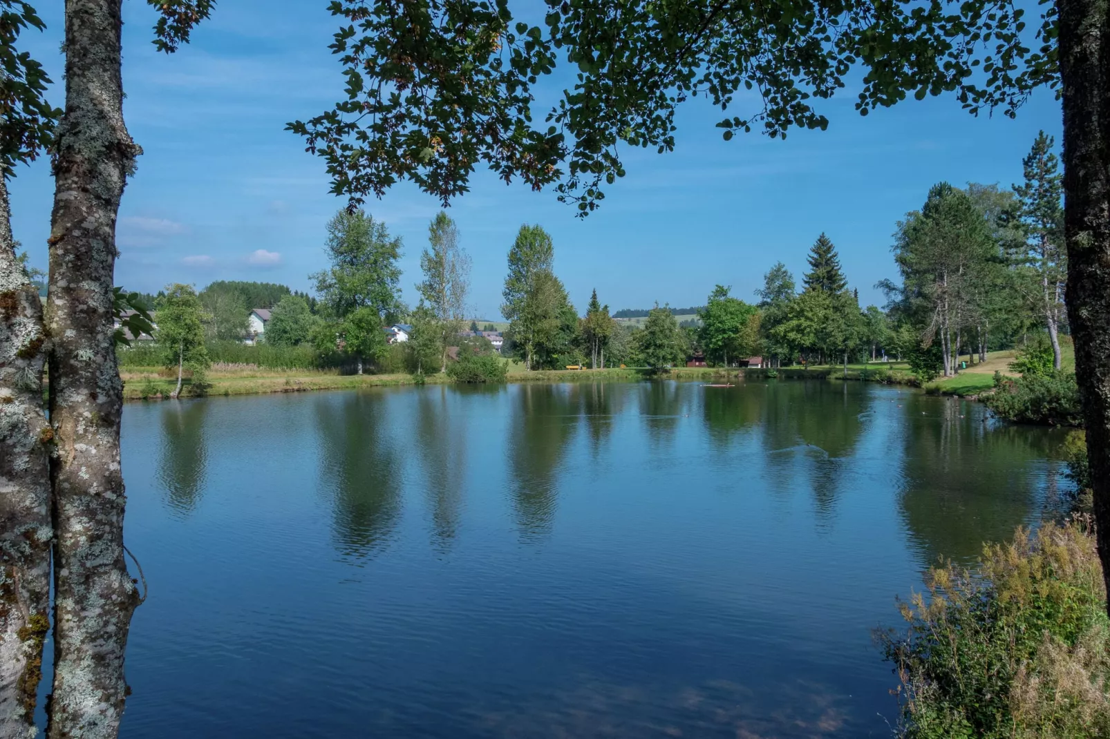 Gästehaus Hauber-Areas summer 5km