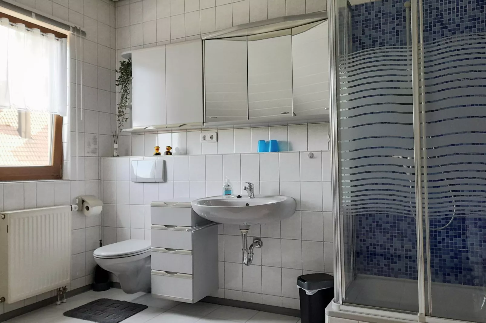 Im Hotzenwald-Bathroom