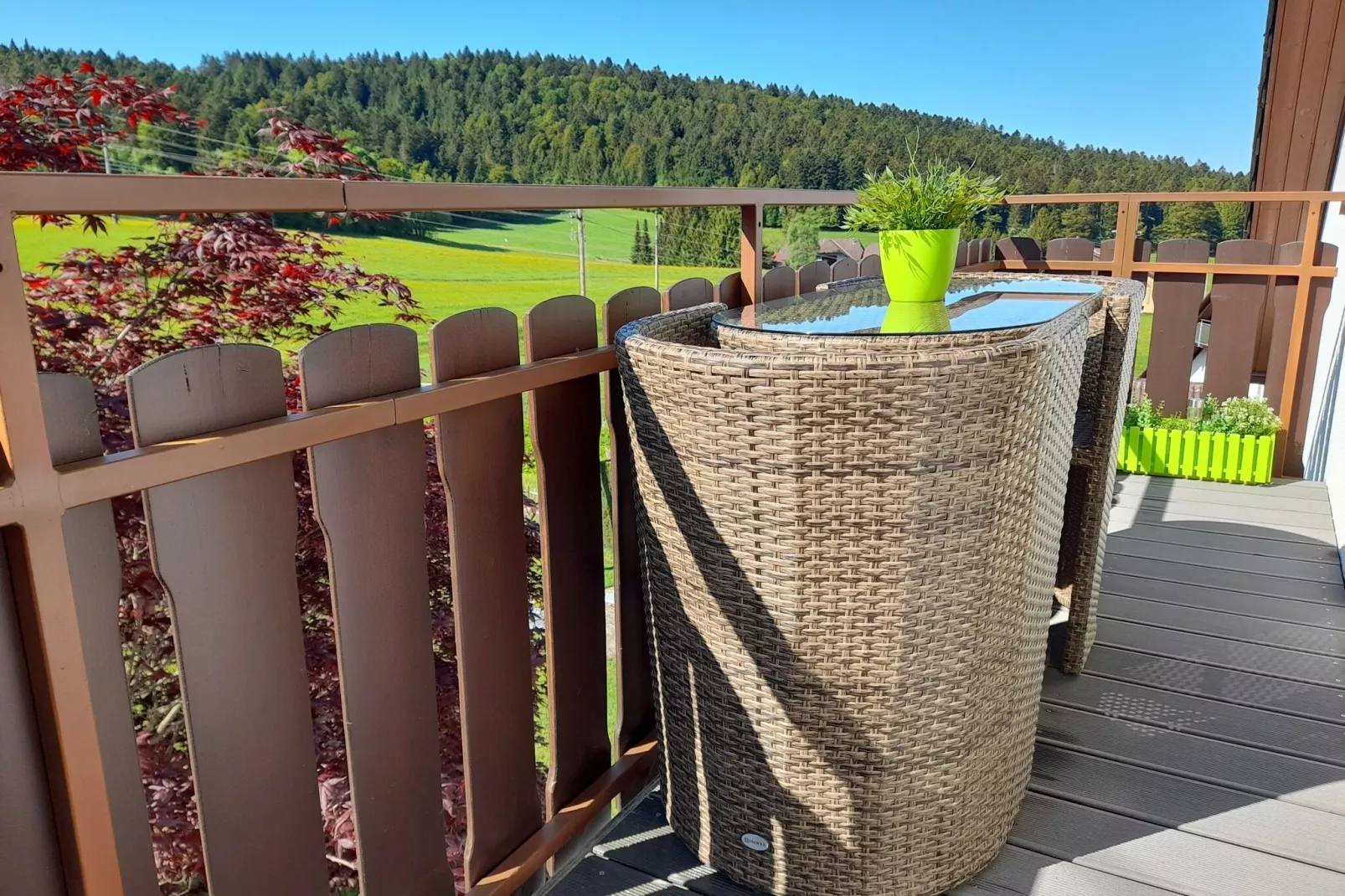 Im Hotzenwald-Terrace balcony