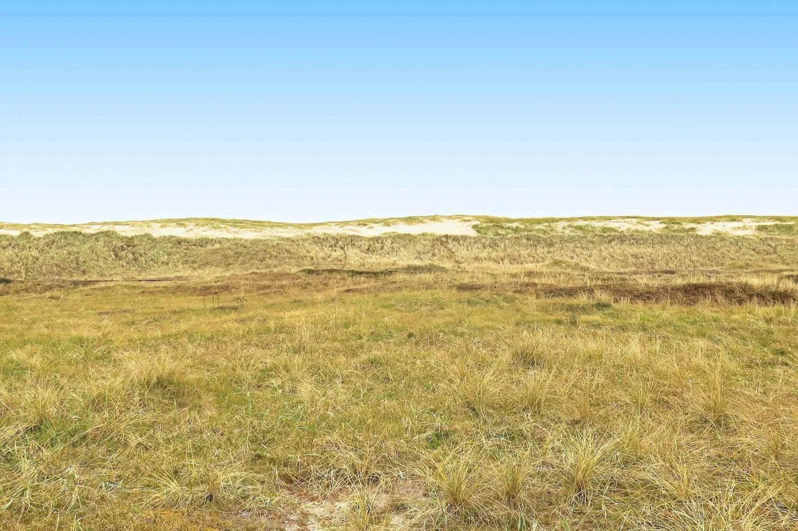 Maison de vacances pour 7 a Harboøre-By Traum-Vue