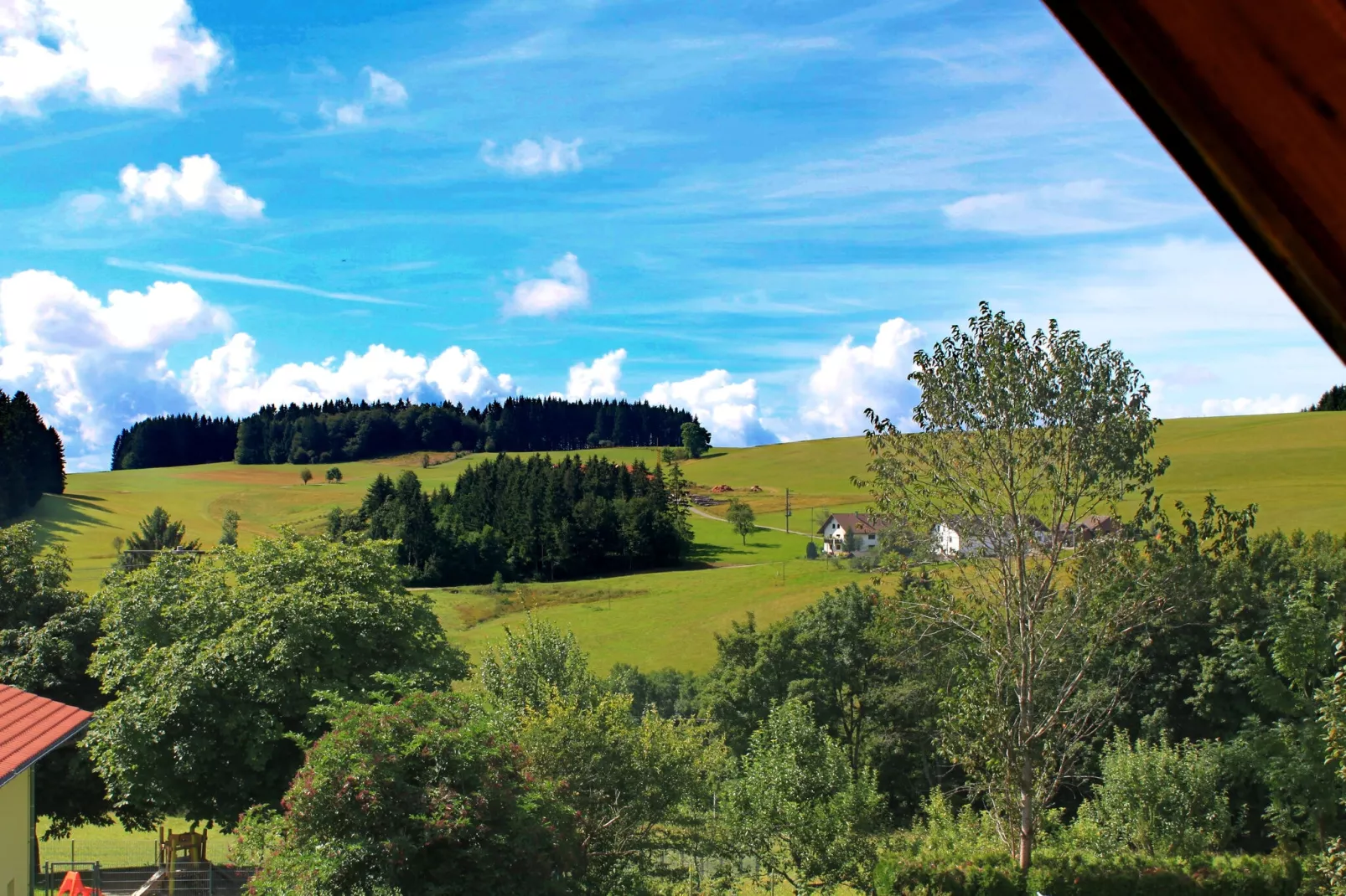 Schwarzwald-Aussicht Sommer