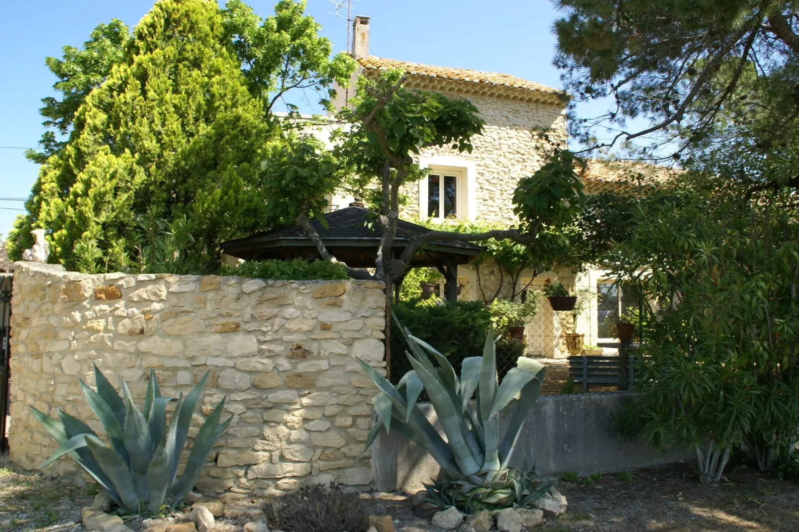 Orange-Exterior summer