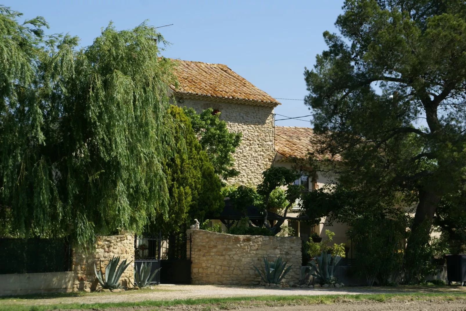 Orange-Exterior summer
