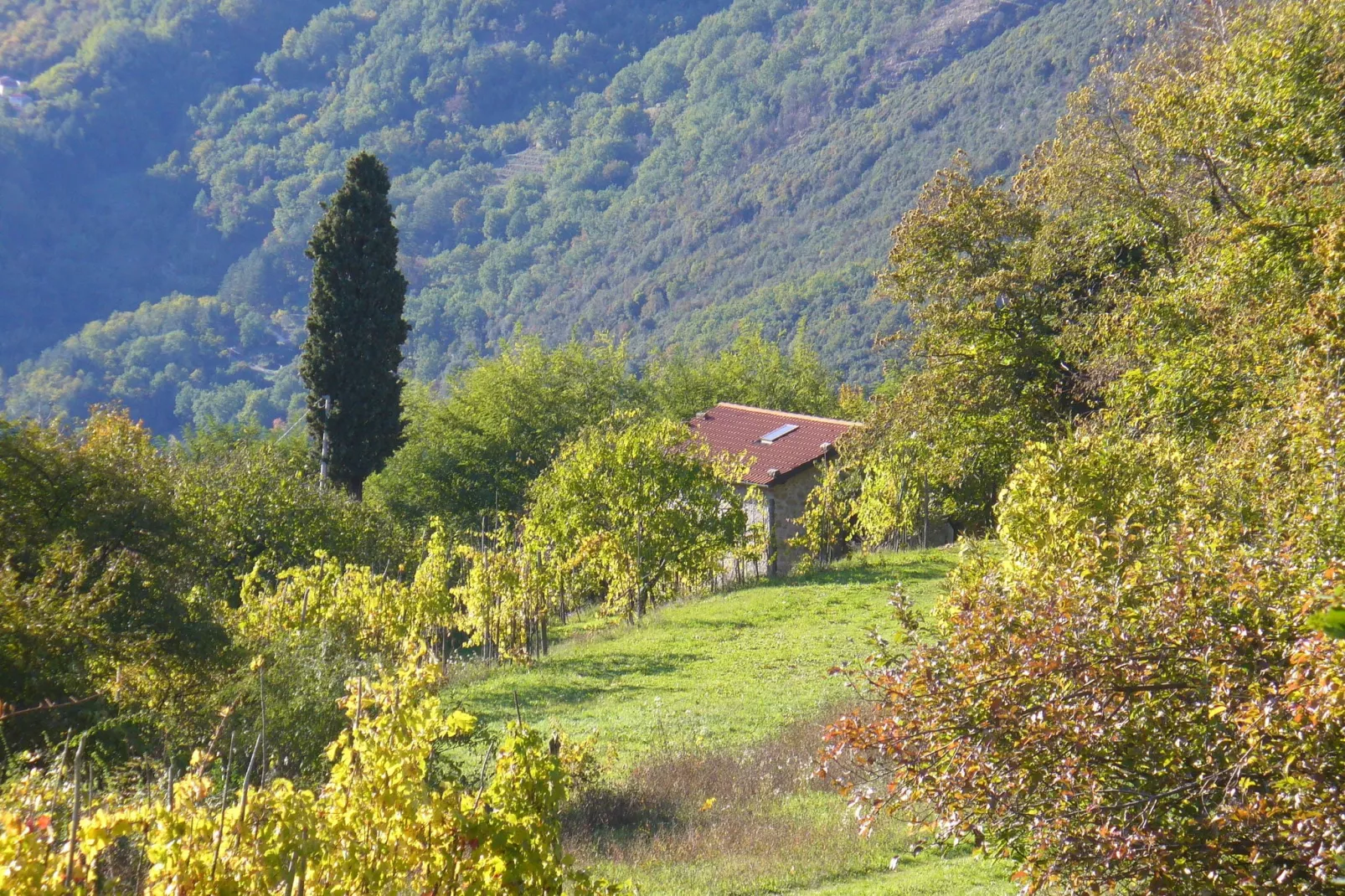 Val Di Lima Romantica-Gardens summer