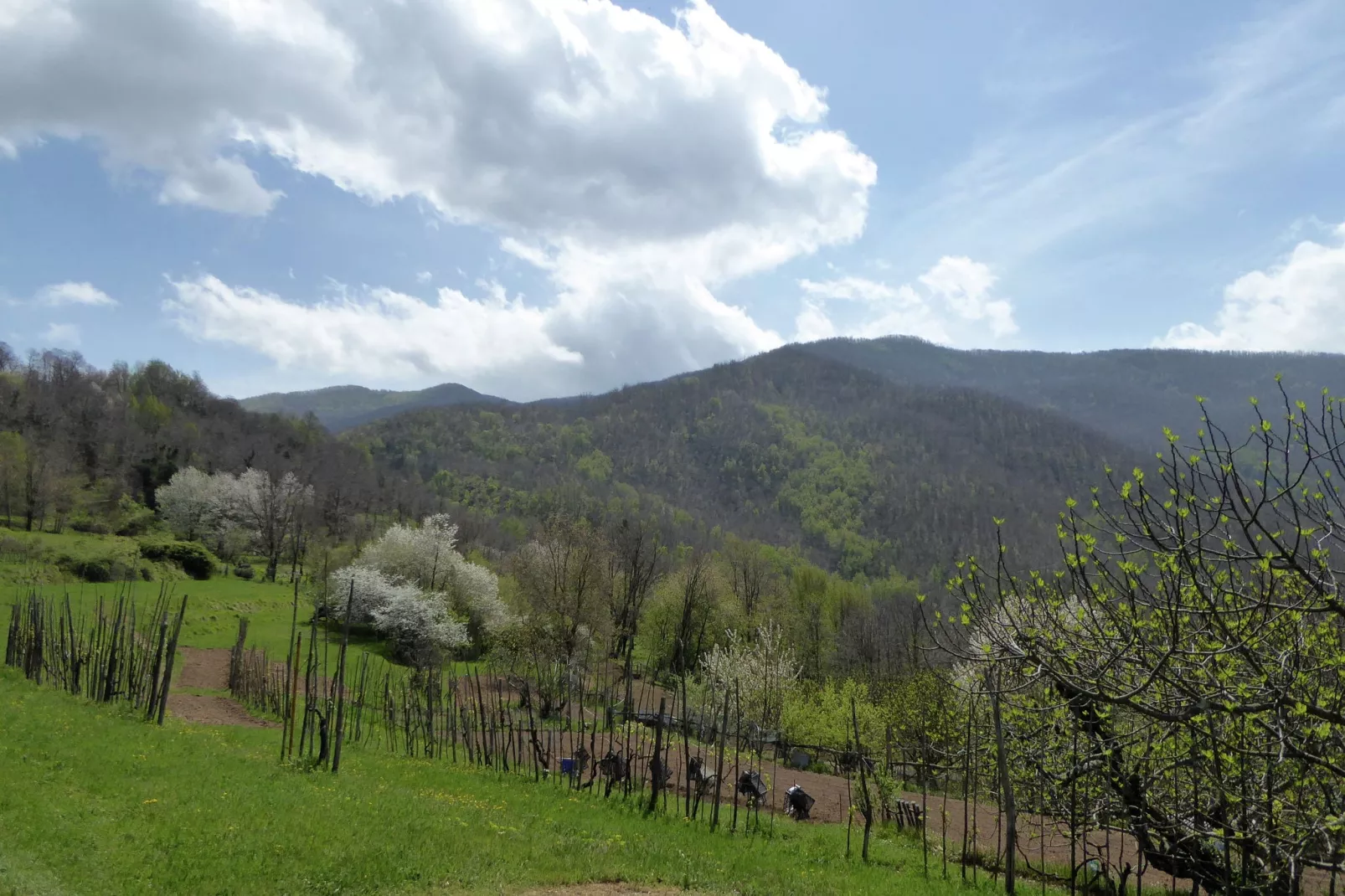 Val Di Lima Romantica-View summer