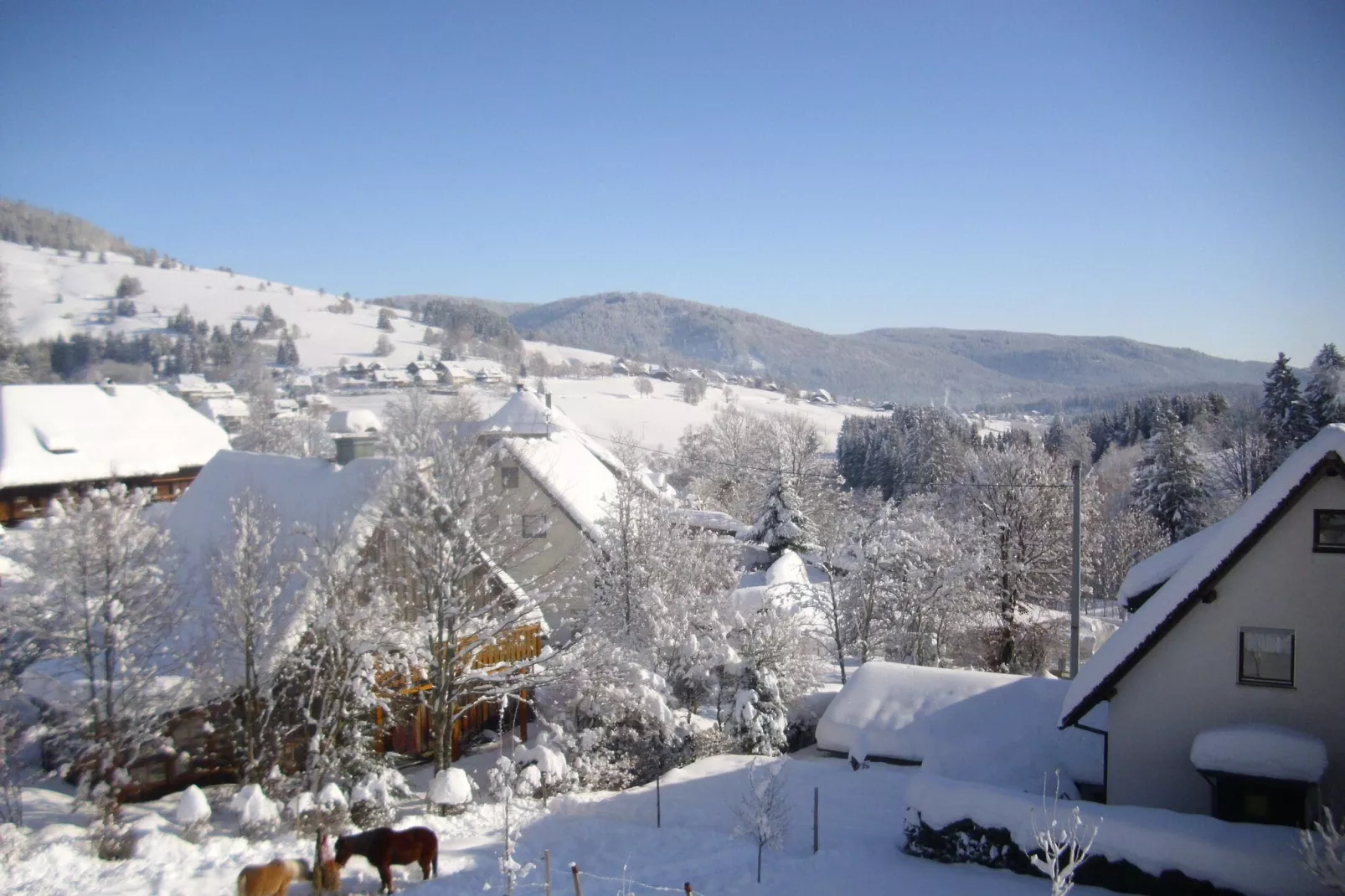 Wannenhof-View winter