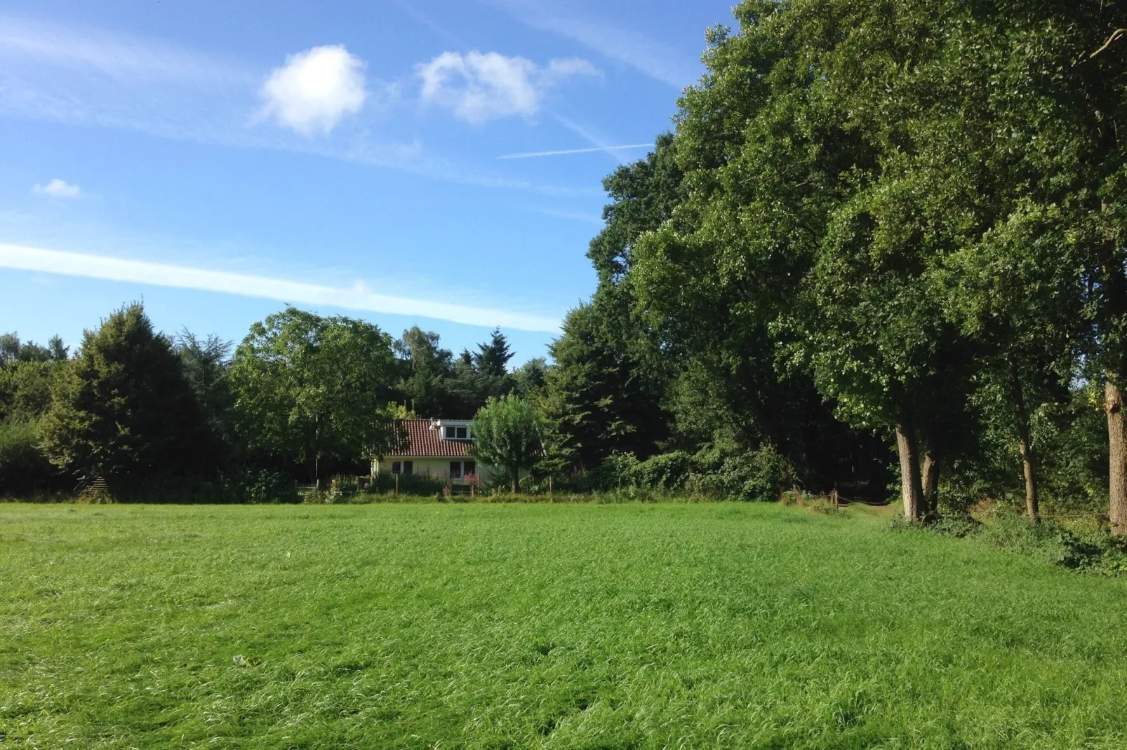 Kempernoel-Areas summer 1km