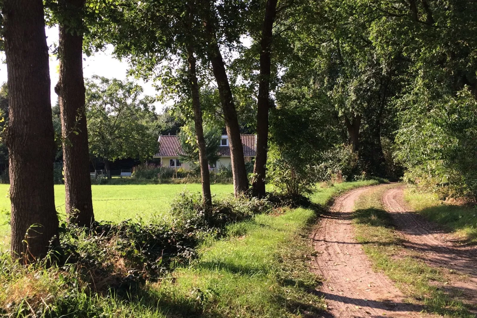 Kempernoel-Areas summer 1km