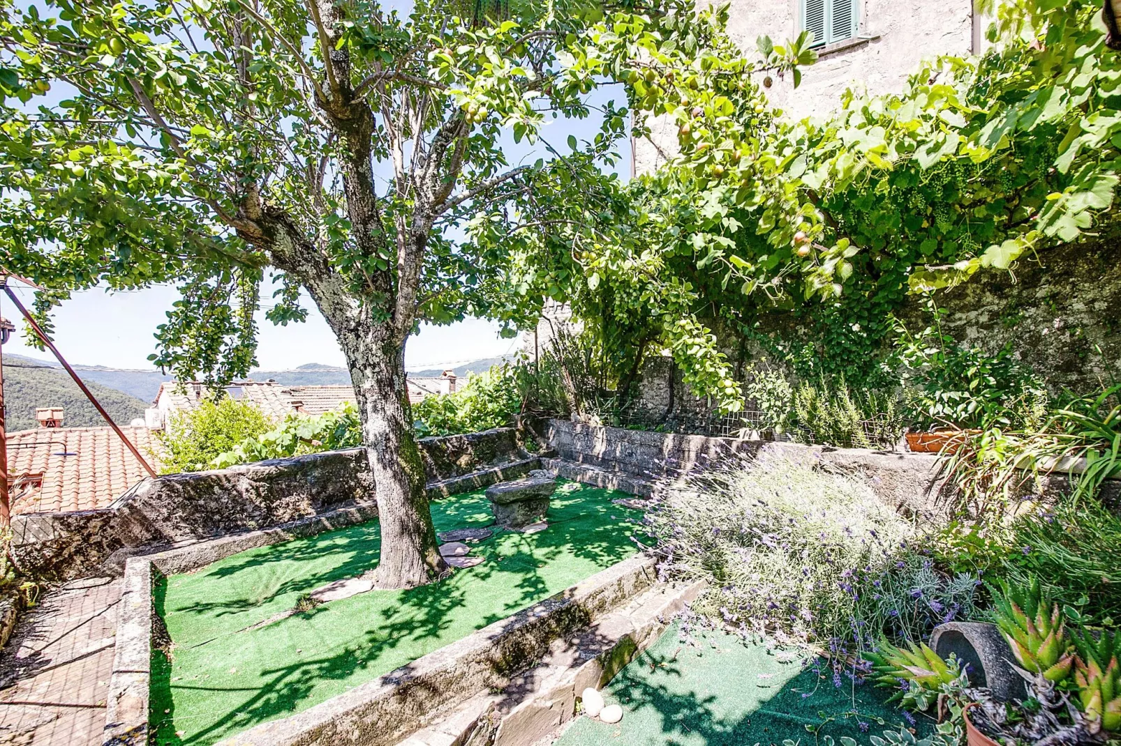 Gelsomino Piccolo-Gardens summer