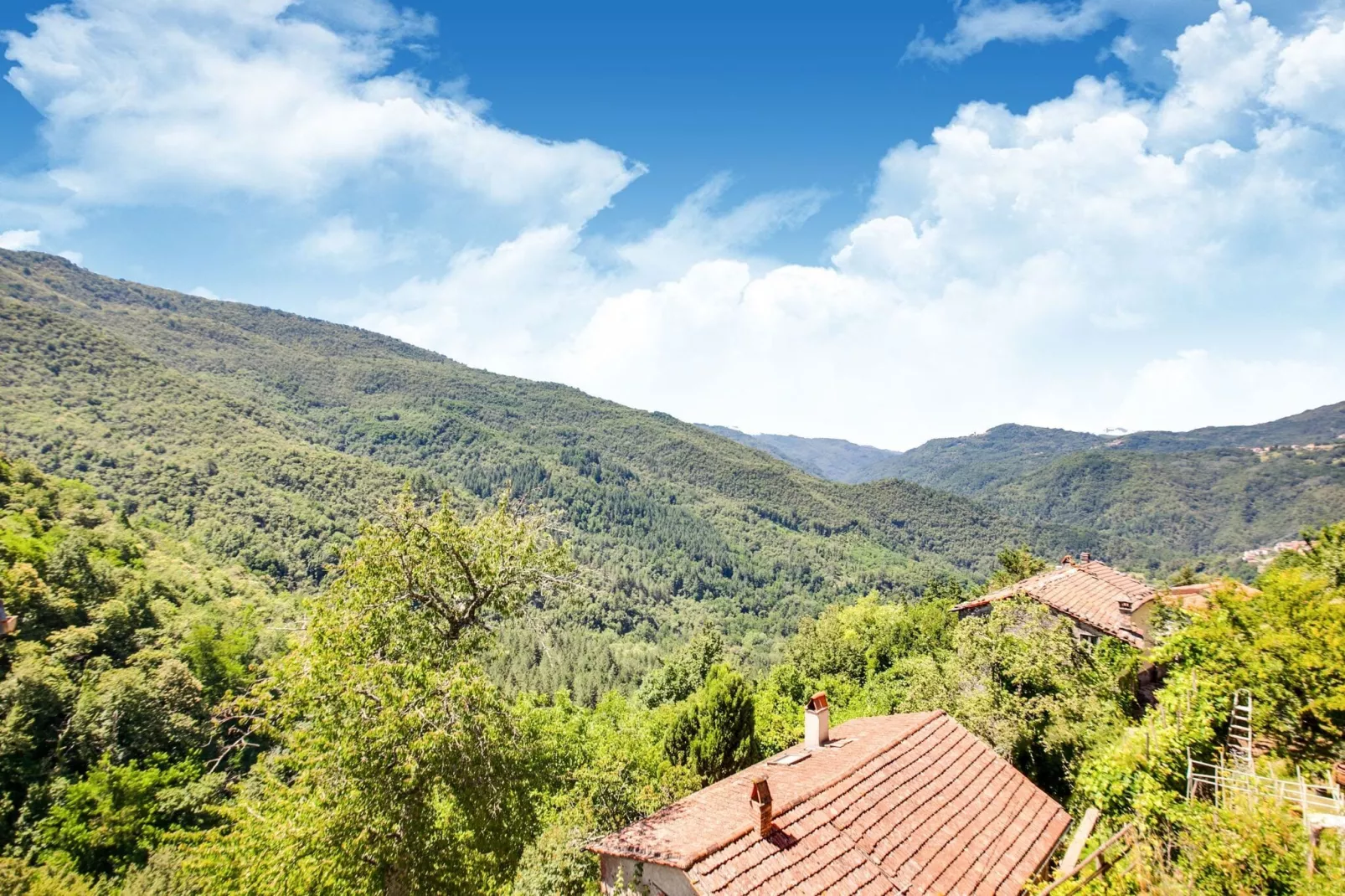 Gelsomino Piccolo-View summer