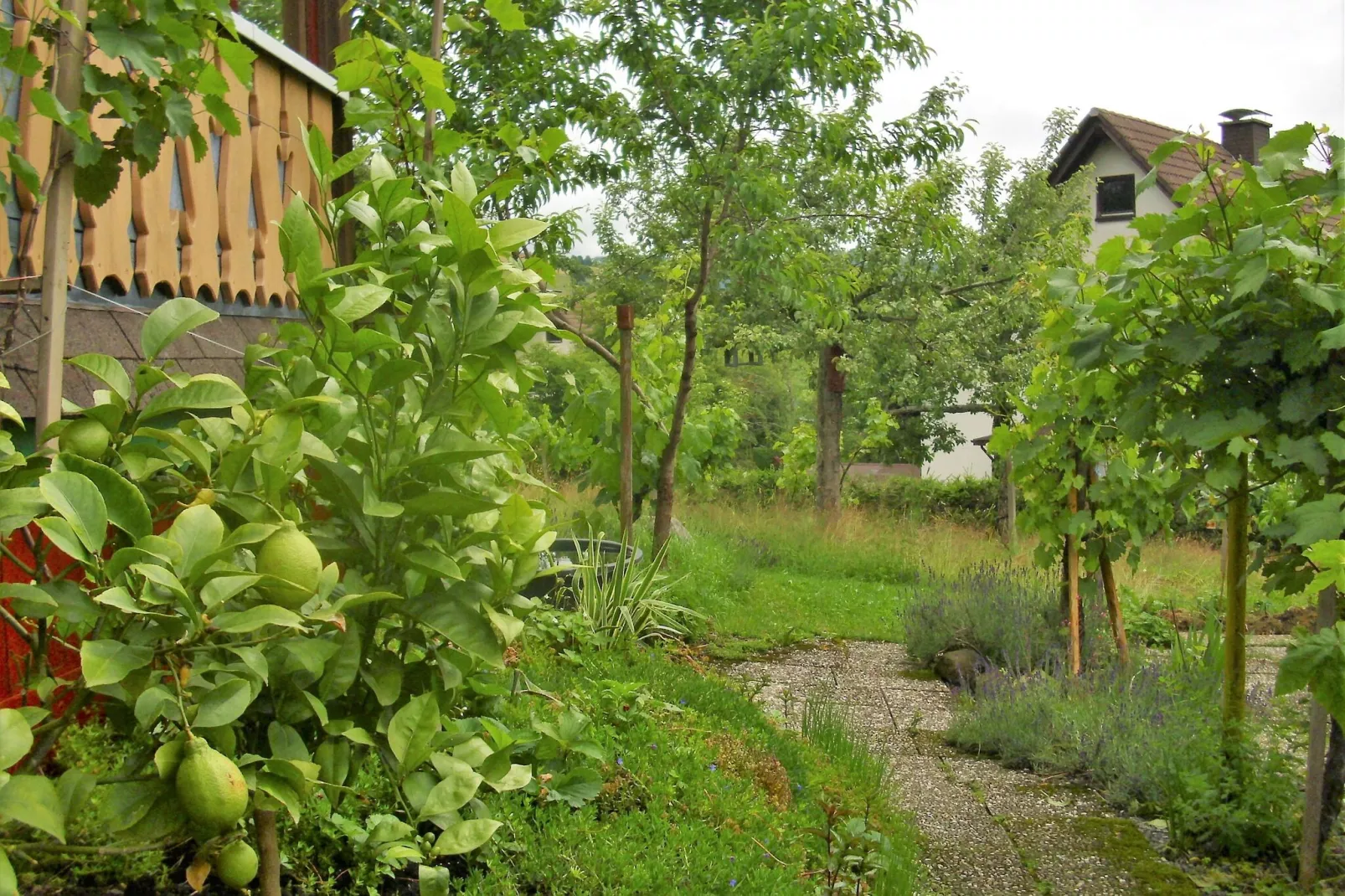 Wannenhof-View summer