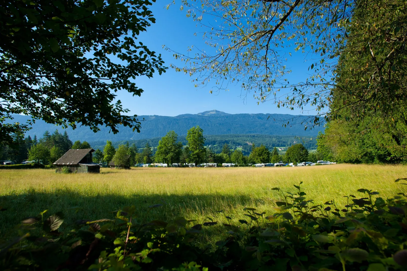 Resort Pressegger See 2-Areas summer 1km