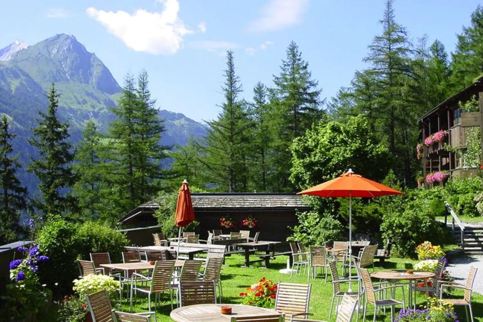 Apart Hotel Goldried - 6 Personen-Gardens summer