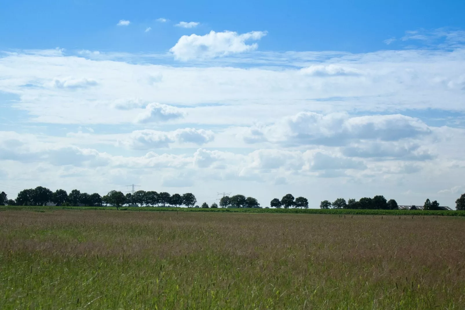 Buitenplaats Berg en Bos nummer 43-Areas summer 5km