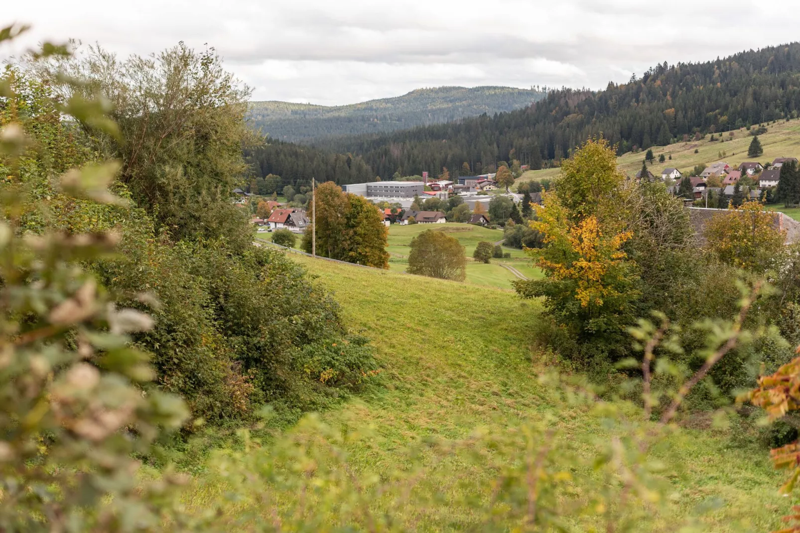 Bernau-Gardens summer