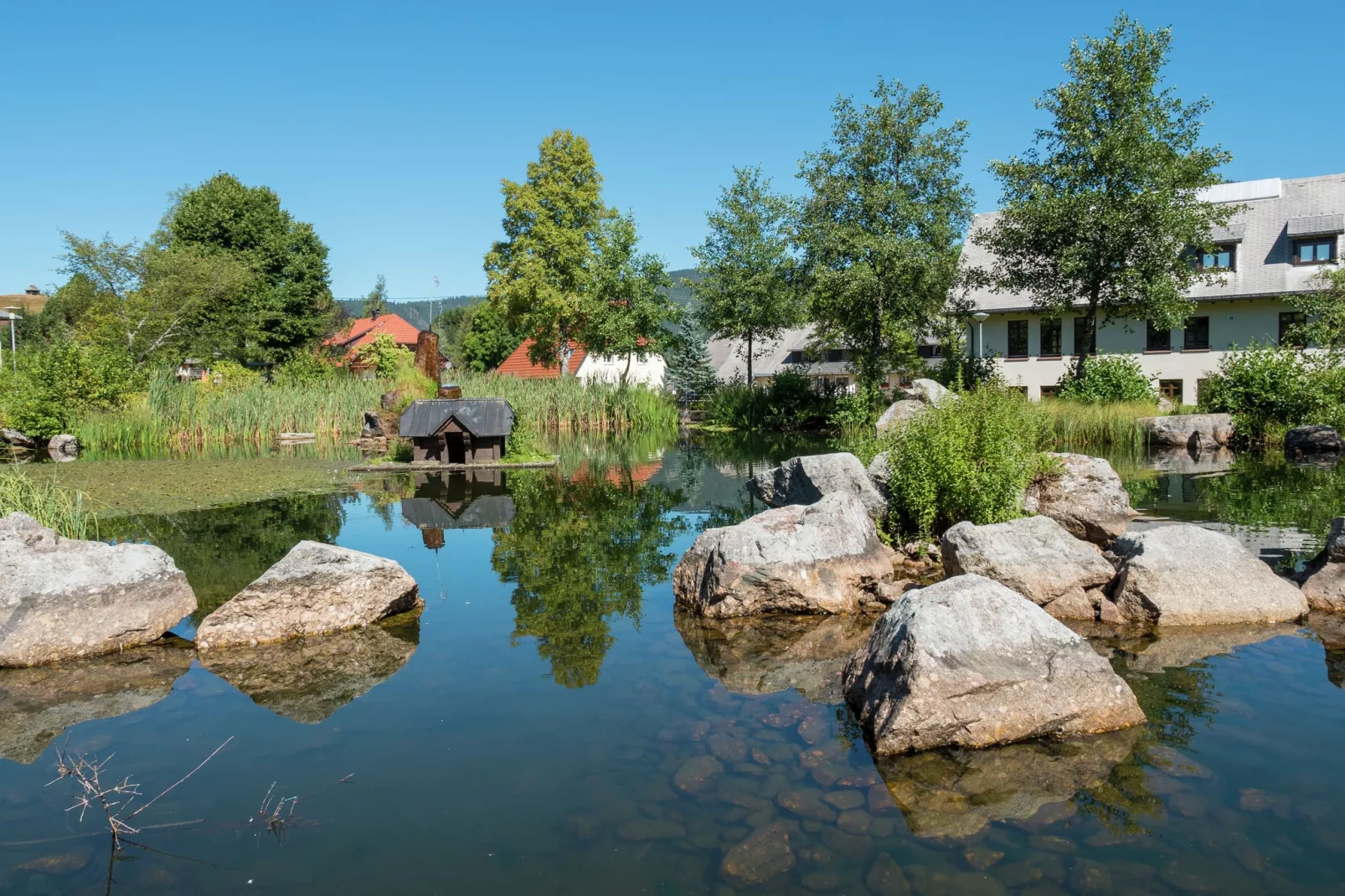 Bernau-Areas summer 1km