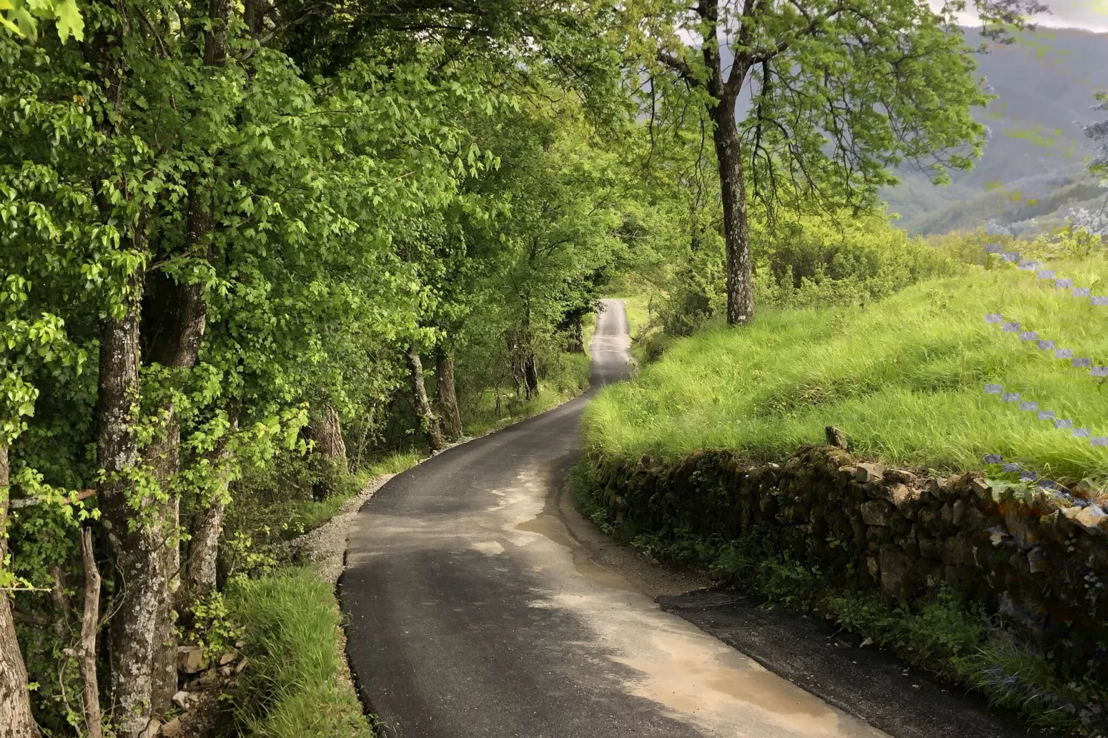 Vistaverde-Areas summer 20km