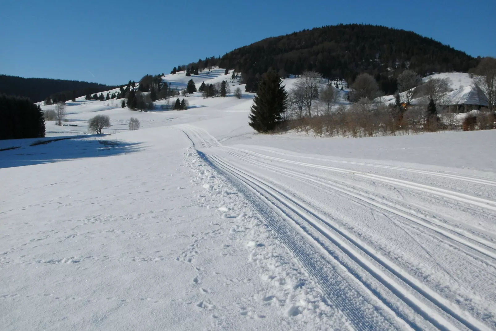 Wannenhof-Area within 1km in winter