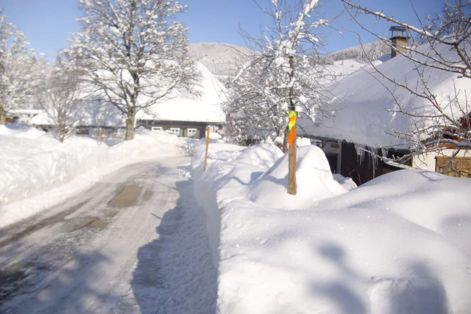 Wannenhof-Area within 1km in winter