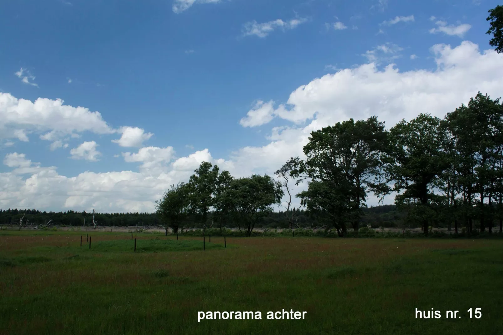 Buitenplaats Berg en Bos nummer 15-View summer