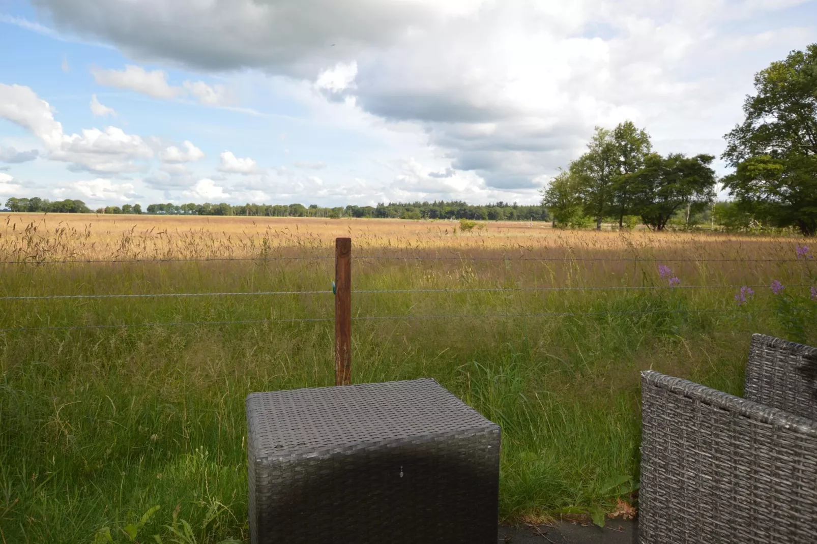 Buitenplaats Berg en Bos nummer 15-View summer