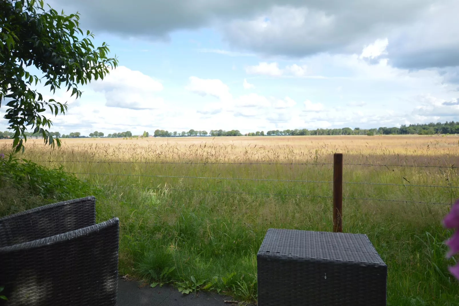 Buitenplaats Berg en Bos nummer 15-View summer