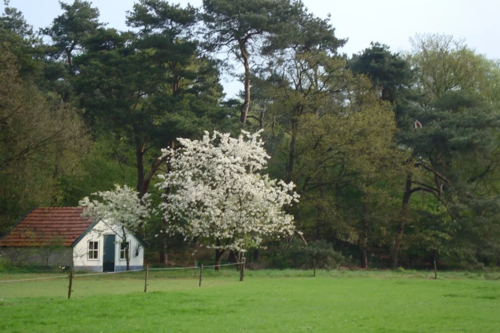 Buitenplaats Berg en Bos nummer 15-Areas summer 1km