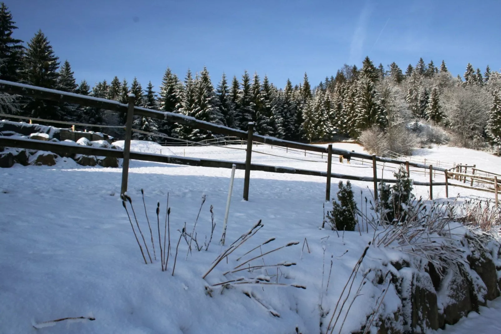 Pferdeklause-View winter
