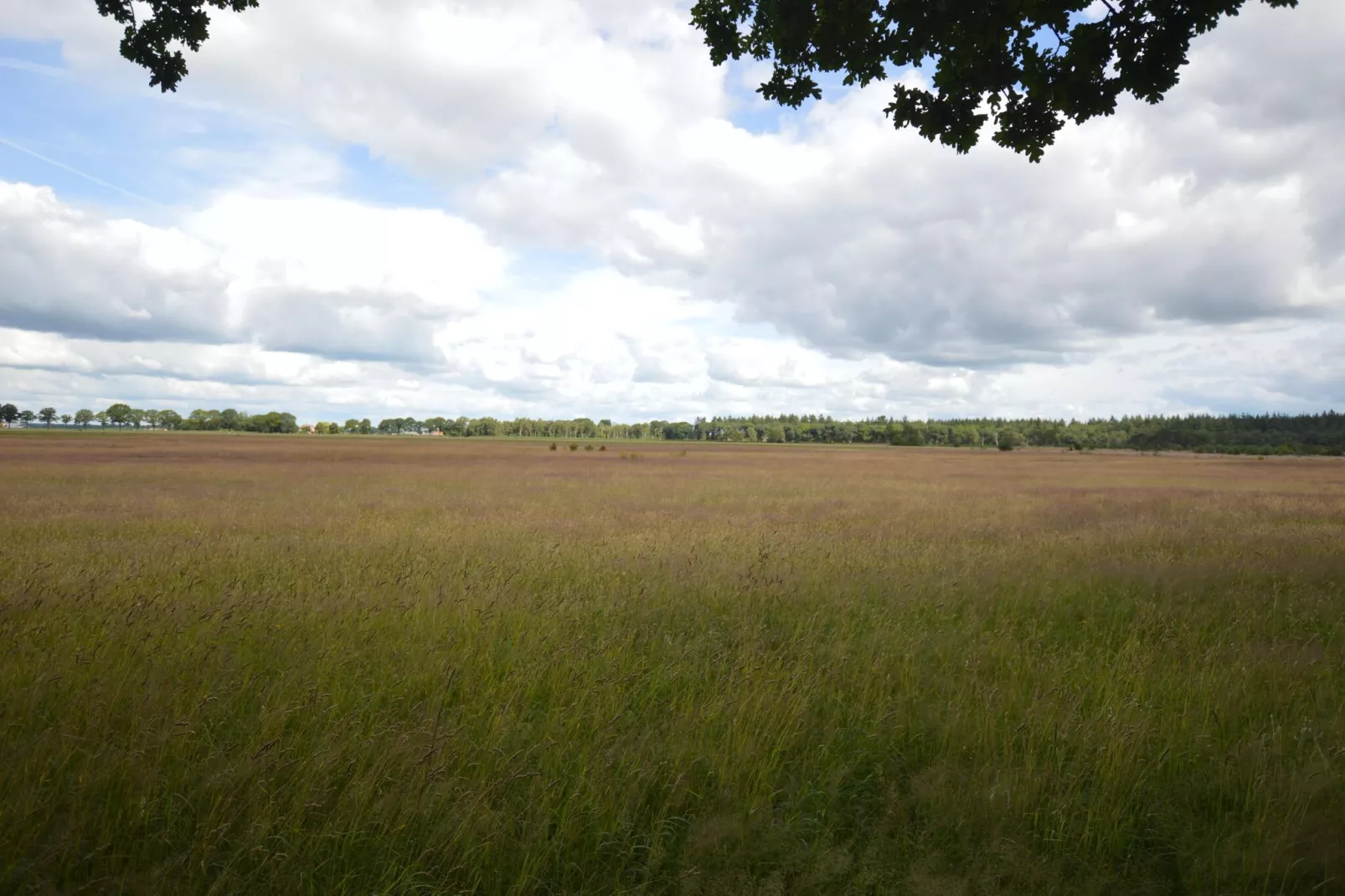 Buitenplaats Berg en Bos nummer 18-View summer