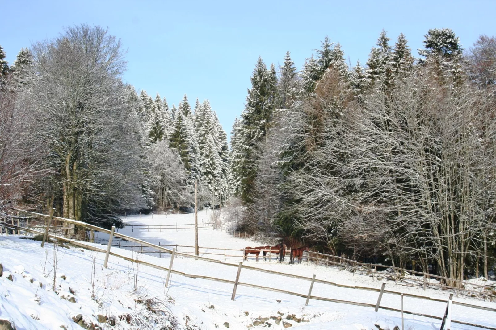 Pferdeklause-Area winter 1km