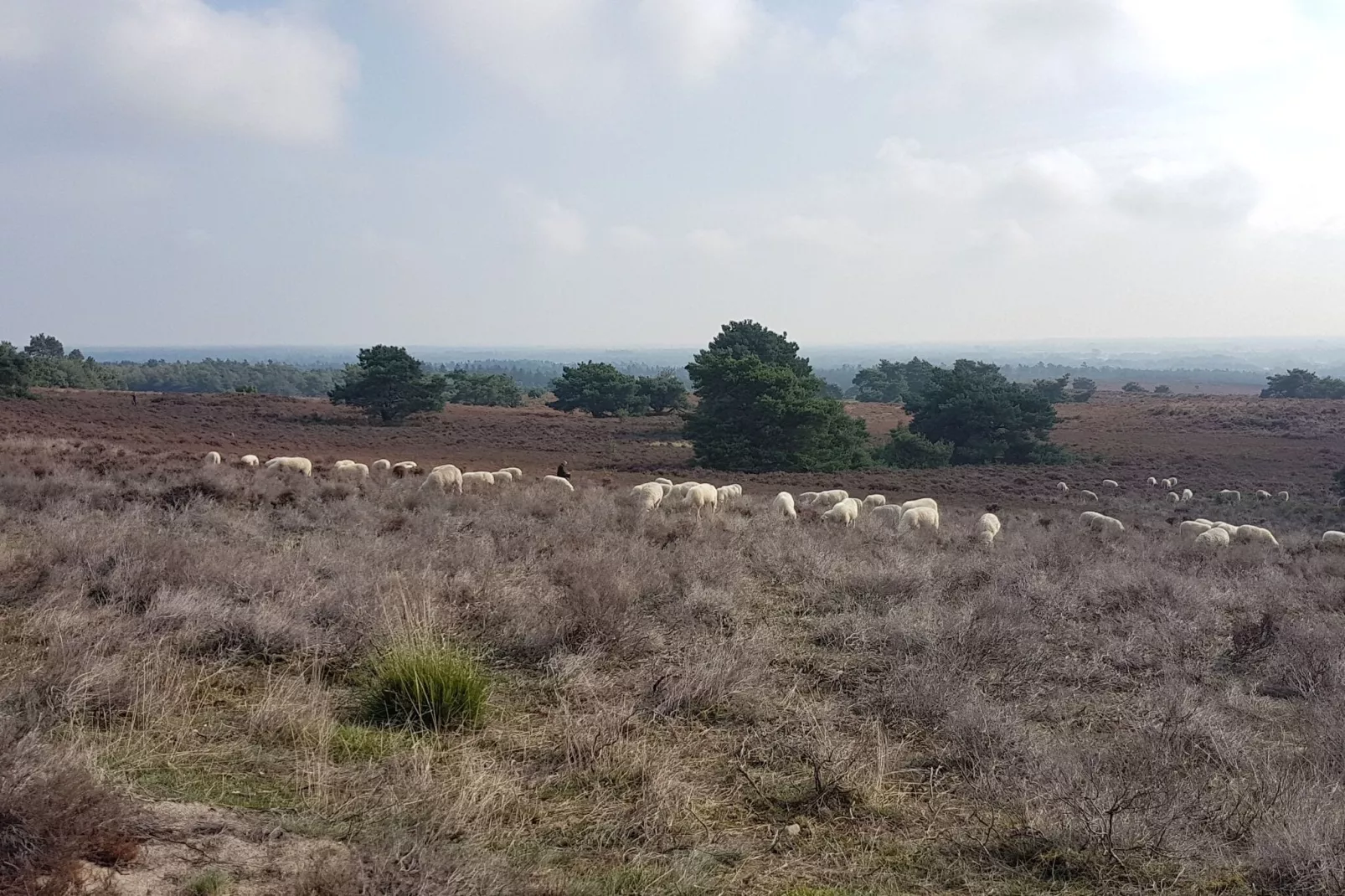 Buitenplaats Berg en Bos nummer 18-Areas summer 1km