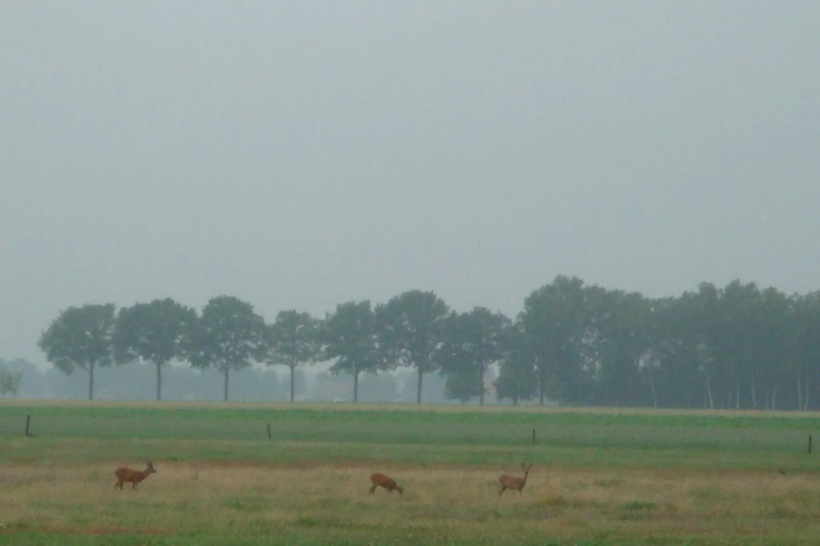 Buitenplaats Berg en Bos nummer 18-View summer