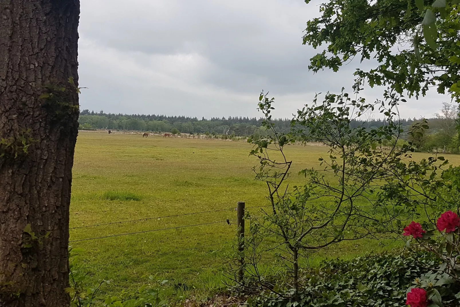 Buitenplaats Berg en Bos nummer 18-View summer