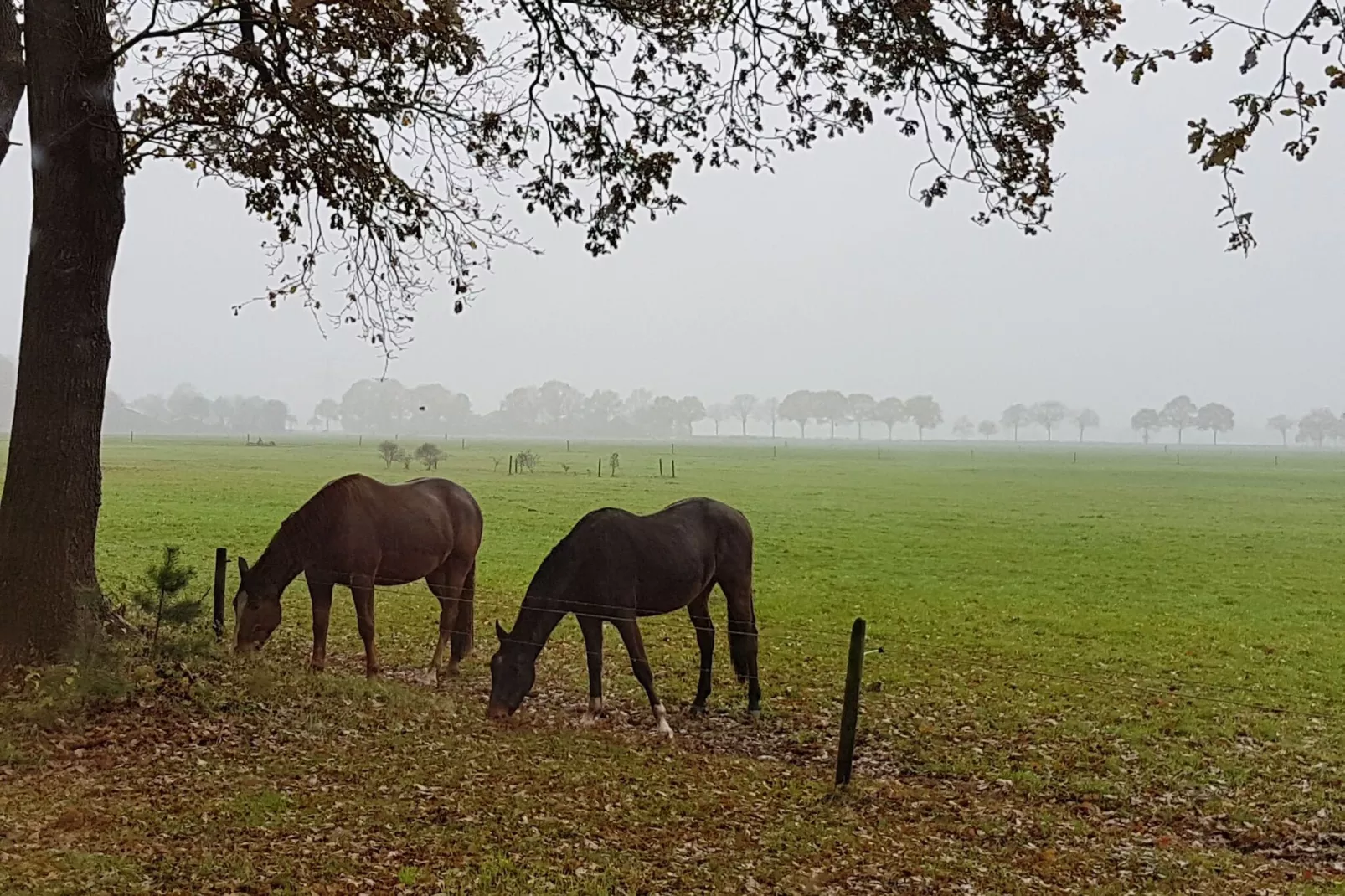 Buitenplaats Berg en Bos nummer 18-View summer