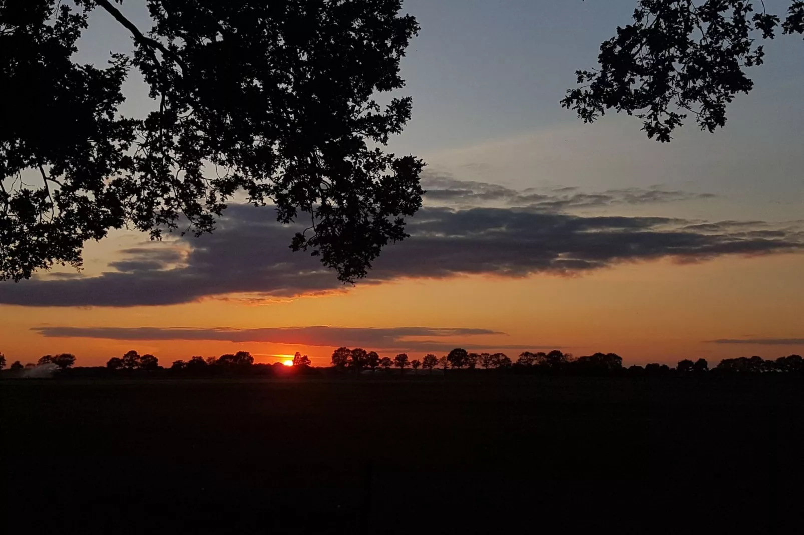 Buitenplaats Berg en Bos nummer 18-View summer