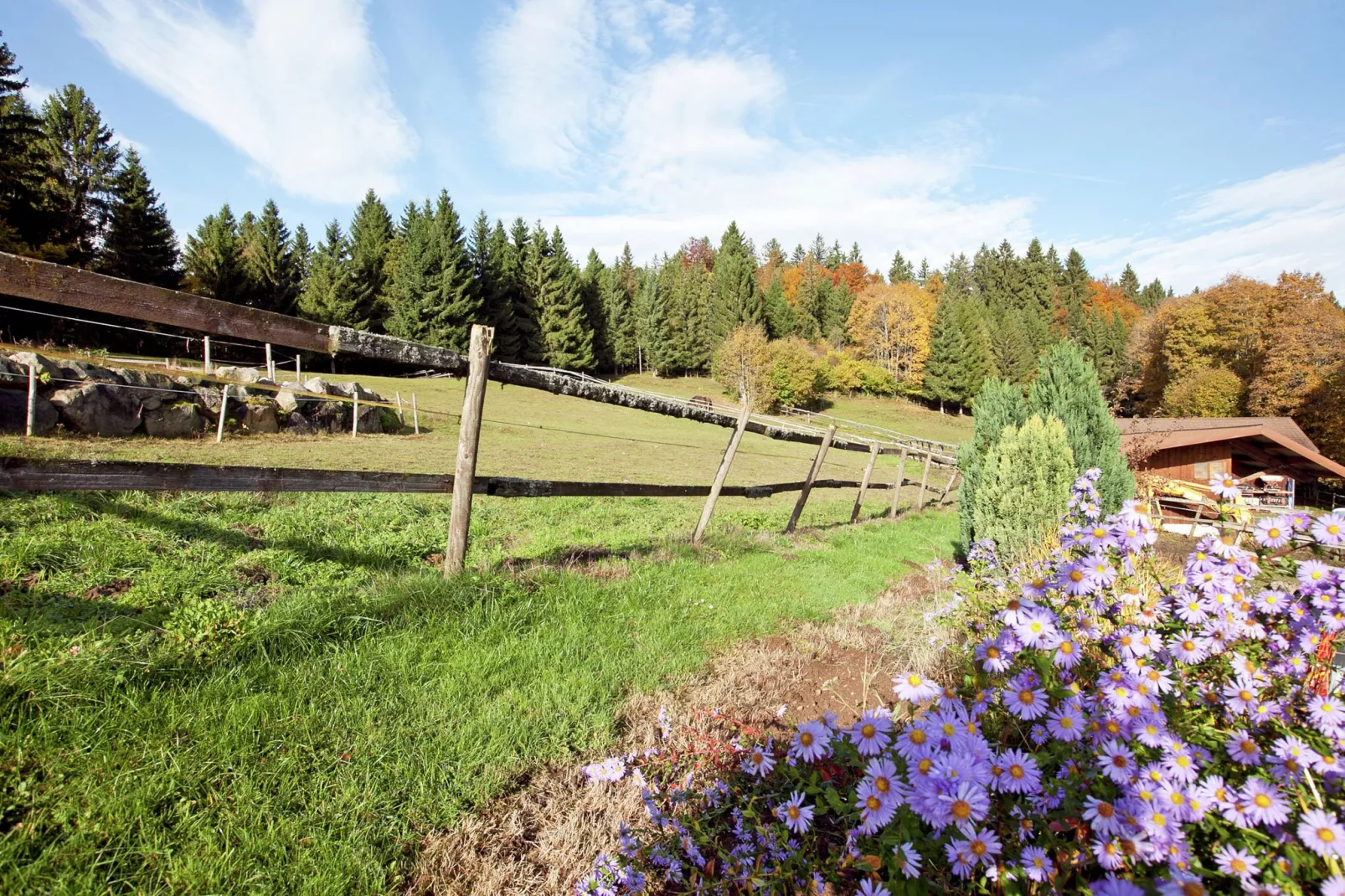 Vogelsang-Gardens summer