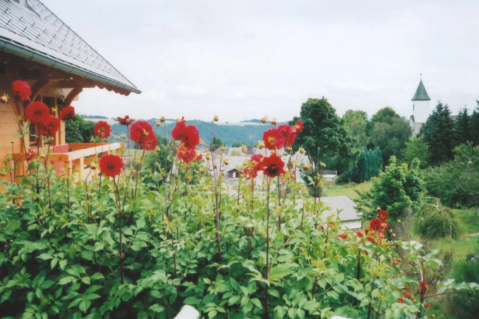 Vogelsang-View summer
