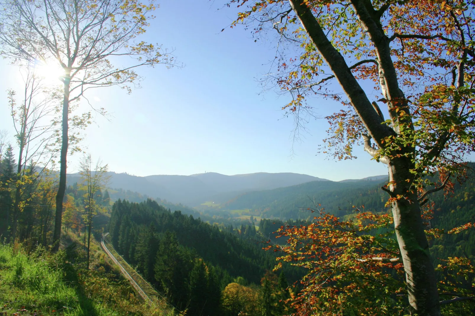 Vogelsang-Areas summer 5km