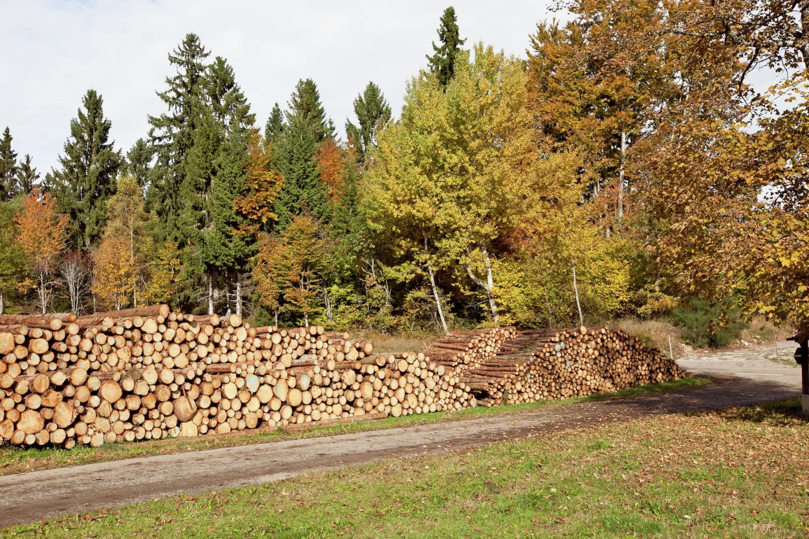 Vogelsang-Areas summer 5km
