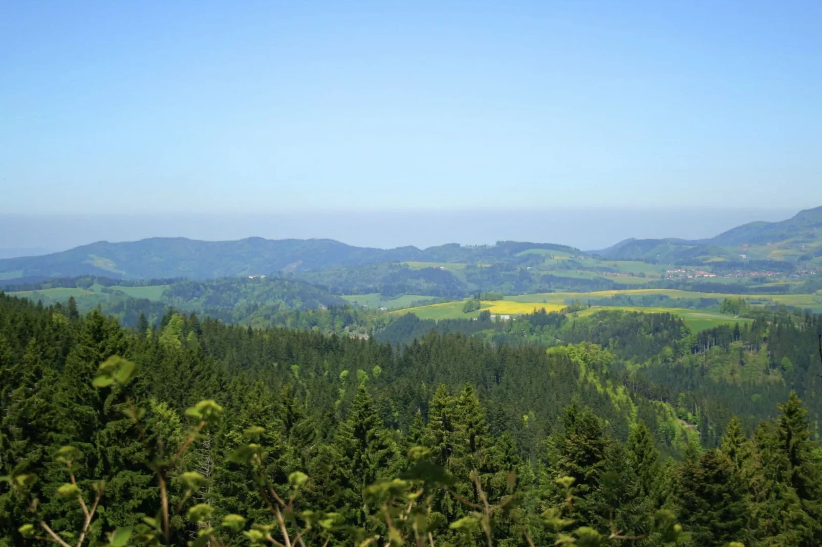 Vogelsang-Areas summer 20km